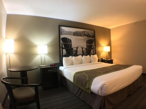 Super 8 by Wyndham Kapuskasing Room Type - King Room - Non-Smoking