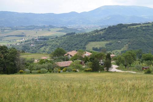  Agriturismo Terra Selvatica, Pension in Fratticciola Selvatica