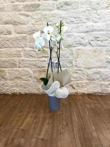 B&B Sant'Agostino chambre d'hôte Giovinazzo
