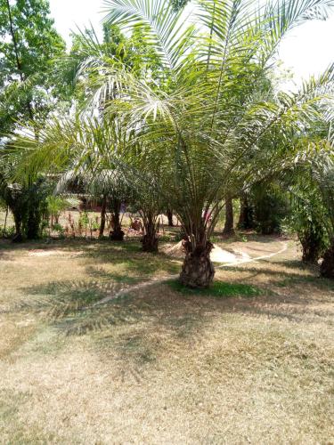 Vistas, Wli Waterfalls Inn,My Home Your Home in Ashanti