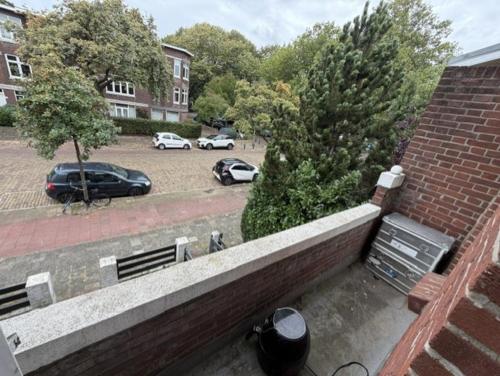 Paradise in Rijswijk - The Hague in Rijswijk