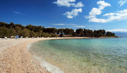 Hotel Villa Adriatica - Adults Only - image 13