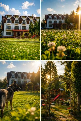 . Pensiunea Casa Padurii Slanic Prahova