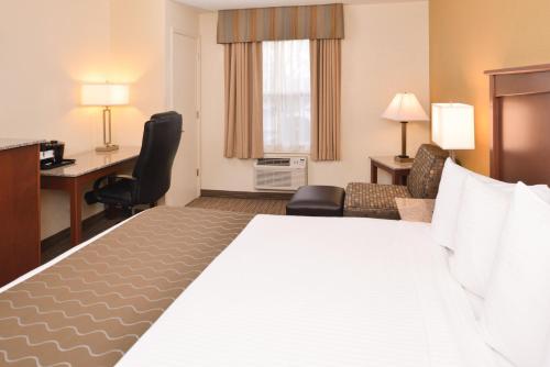 King Room - Disability Access image 6