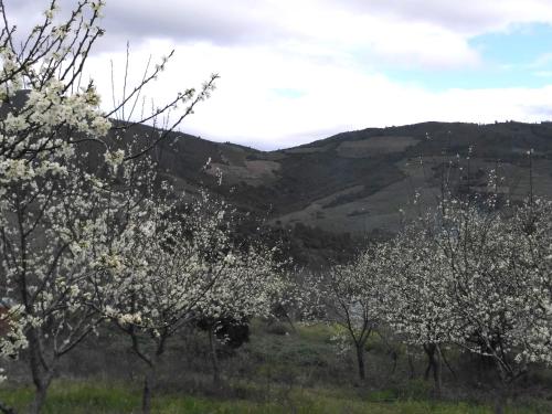 Apartamentos Rurales Tierras de Granadilla