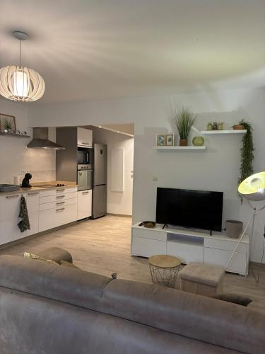 Appartement Palo Santo - Location saisonnière - Pointe-à-Pitre