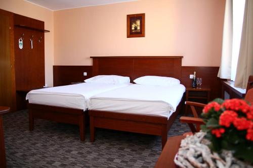 Hotel Baltaci U Náhonu - image 9