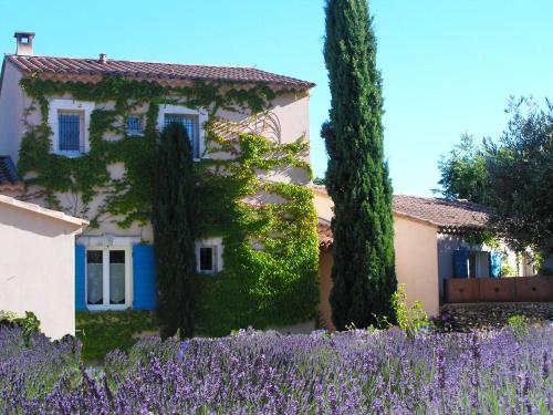 Le clos des lavandes-Luberon - Accommodation - Lacoste