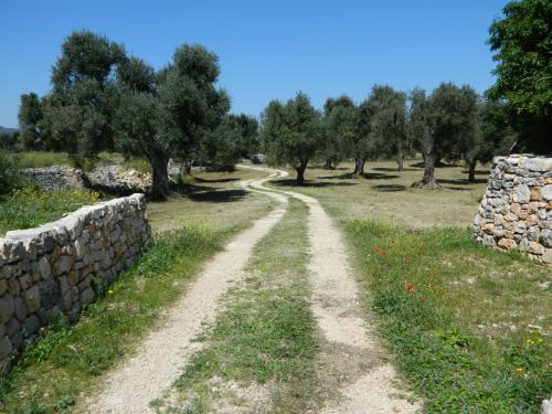Antica Masseria Il Purgatorio – Fasano, AR