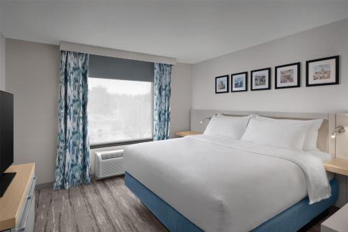 1 king bed, 1 sofa bed