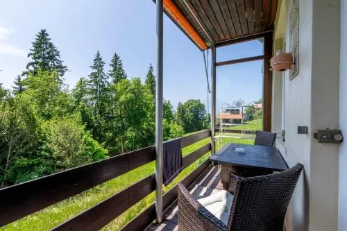 Balcony and Terrace with View and 15min to Interlaken in Beatenberg, Schweiz