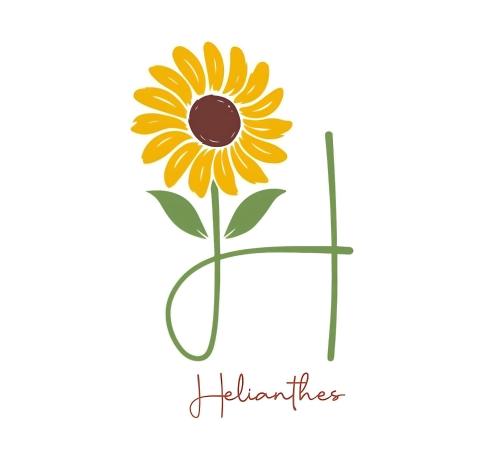 Helianthes
