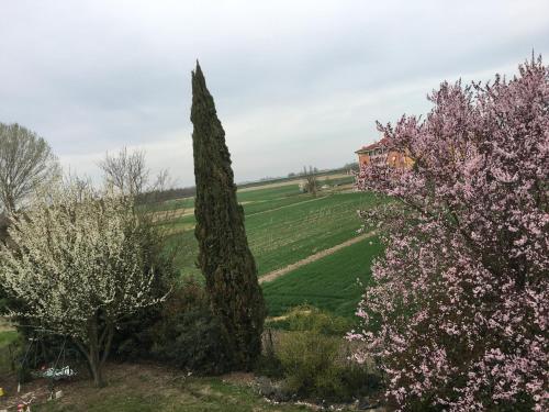 B&B La Casa di Klida – Minerbio, KY