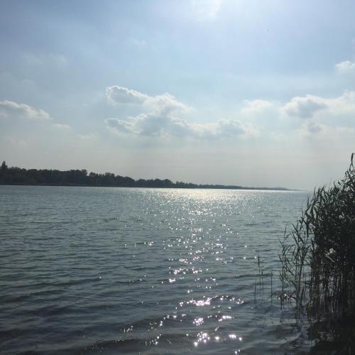 Strand, Marton Apartman in Balatonszemes