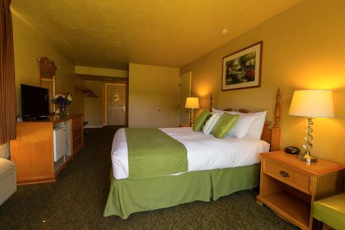 利特霍夫汽车旅馆