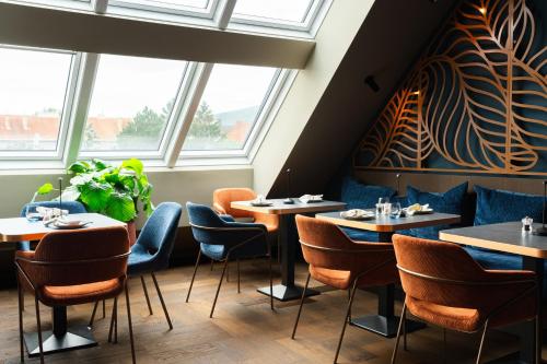  Der Stasta - New Opening in Wien