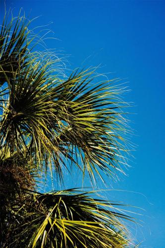 DoubleTree by Hilton Orlando Theme Park Resort