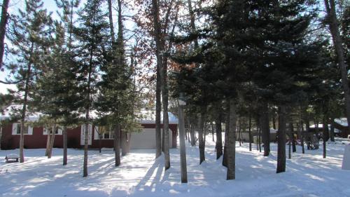 Woodland Motor Lodge - image 2