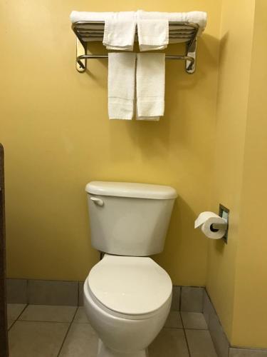 Mountain Inn & Suites-DUNLAP - image 7