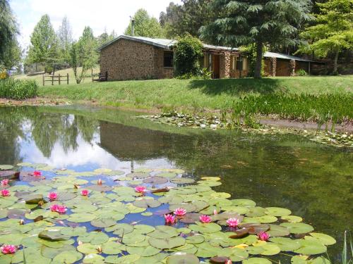 Meadow Lane Country Cottages