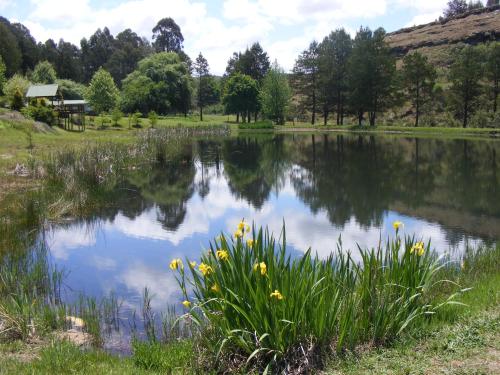 Meadow Lane Country Cottages