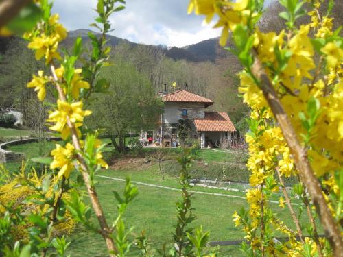 B&B Melizio