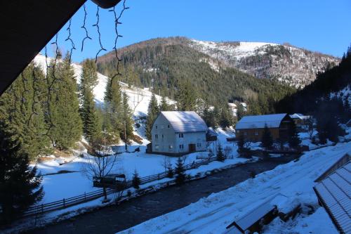Hotel Berloga-Sinevir - image 2