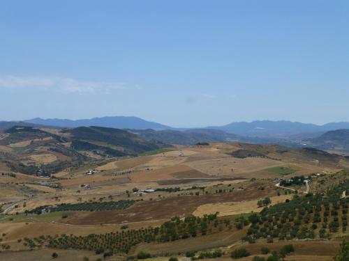 Finca Sábila Finca Sábila