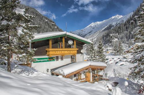 Alpengasthof Paletti - Hotel - Enzingerboden