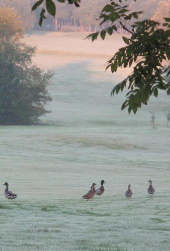 Lanhydrock Hotel & Golf Club - image 7