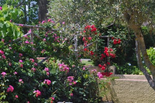 Hotel Tirrena Bike & Country Hotel - image 8