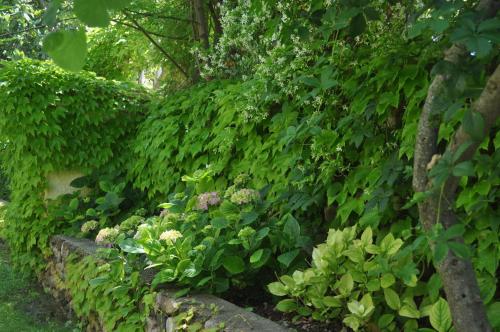 Hotel Tirrena Bike & Country Hotel - image 12