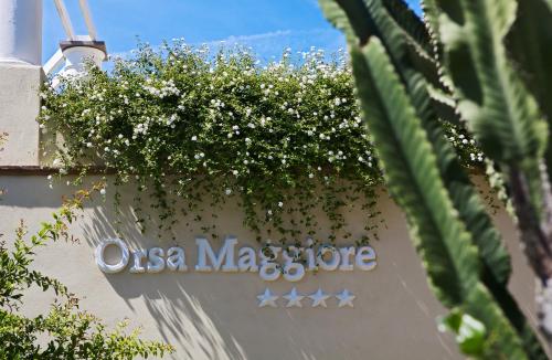 Hotel Orsa Maggiore