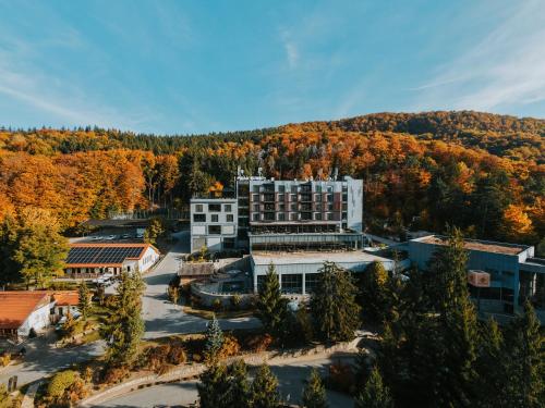 . Peakture Hotel Balvanyos