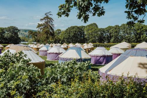 Festival Yurts Hay-on-Wye gîte à louer Mouse Castle