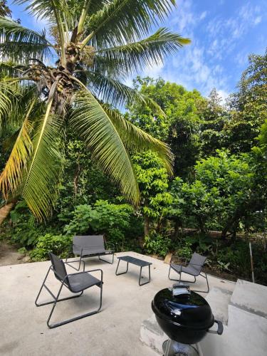 Terrasse & jardin tropical, BBQ, à 5 min de la plage - Location saisonnière - Rivière-Pilote