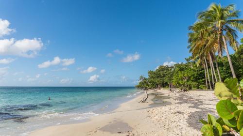 Photo - Residence Les Cayalines