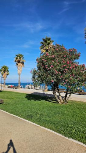 Rose by the sea-il tuo angolo di paradiso