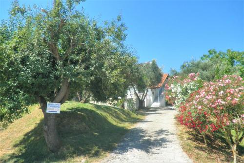 Aktipis Studios - image 2