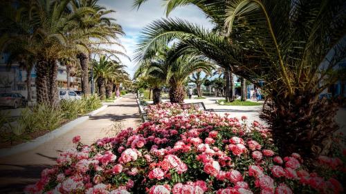 Petit Hotel - San Benedetto del Tronto