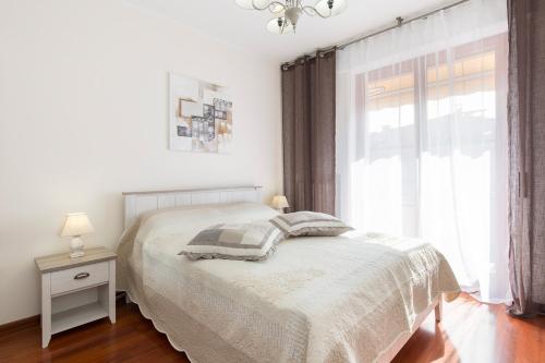 D'Azeglio - image 8