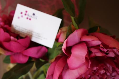 Hotel Sirius - image 2