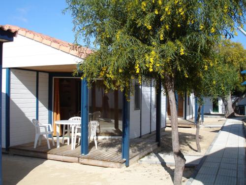 Orbitur Ilha de Armona - image 8