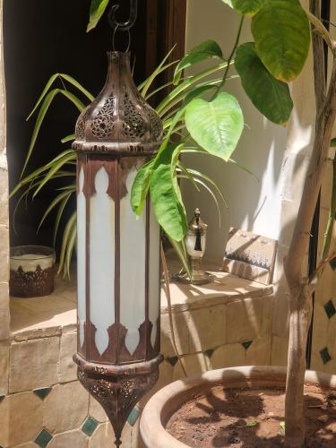 Dar Al Amal 2