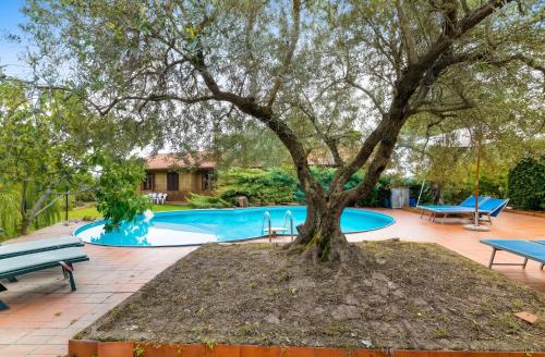 Welcoming Apartment in Fabrica di Roma - 140 sqm, Private Pool