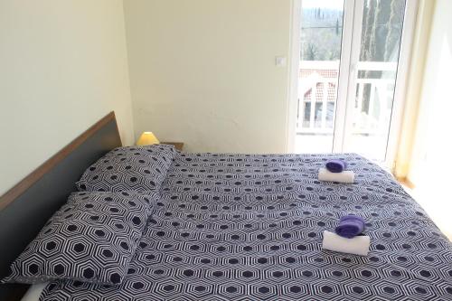 Apartment Franusic