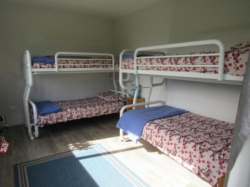 Bed in 4-Bed Mixed Dormitory Room