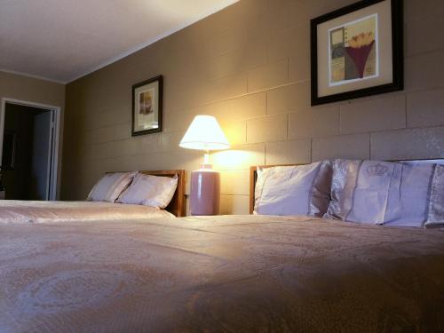 Royal Inn and Suites - image 12
