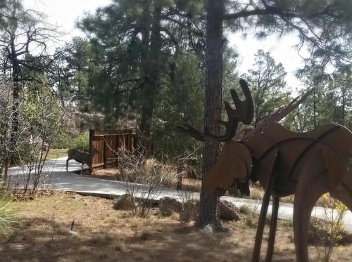 Pueblo Canyon Inn - image 7