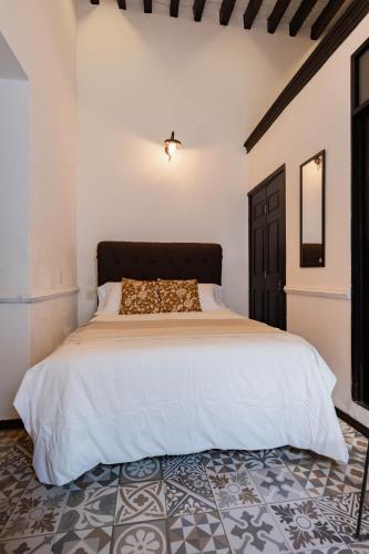 Pet friendly Habitación con baño en Centro Qro